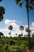 Landschaft