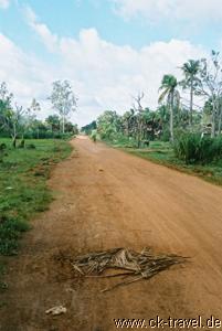 Strasse zum Bantei Srei
